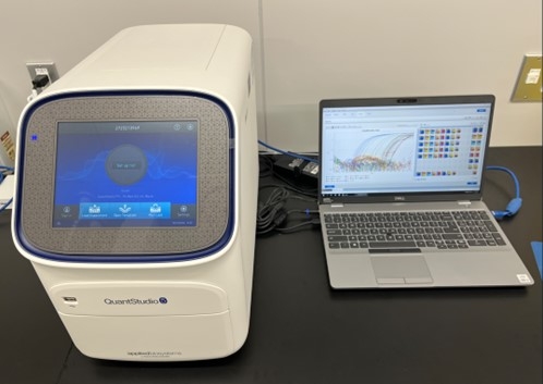 Real-timePCR.jpg