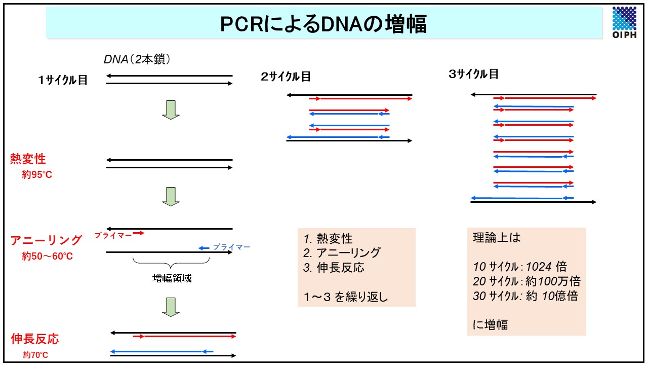 PCR_figv2.jpg