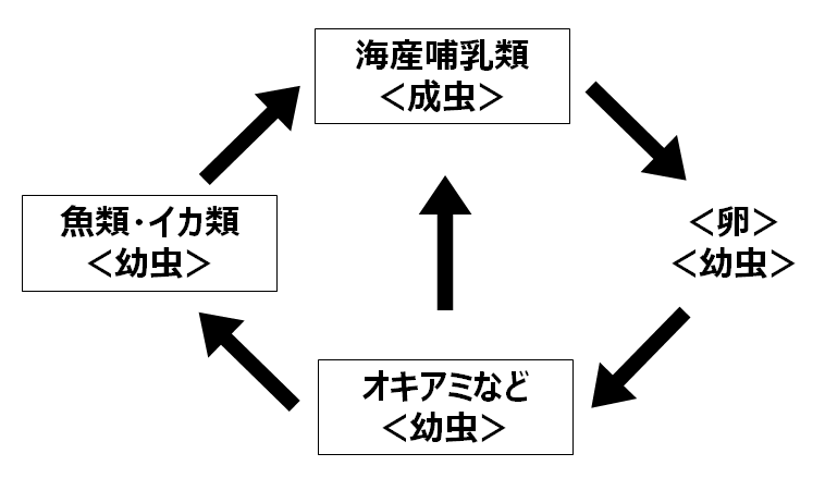 lifecycle-new.png