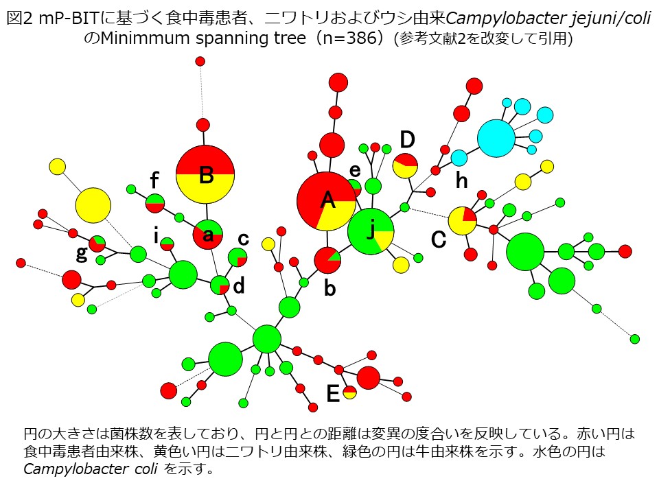 P-BIT_2