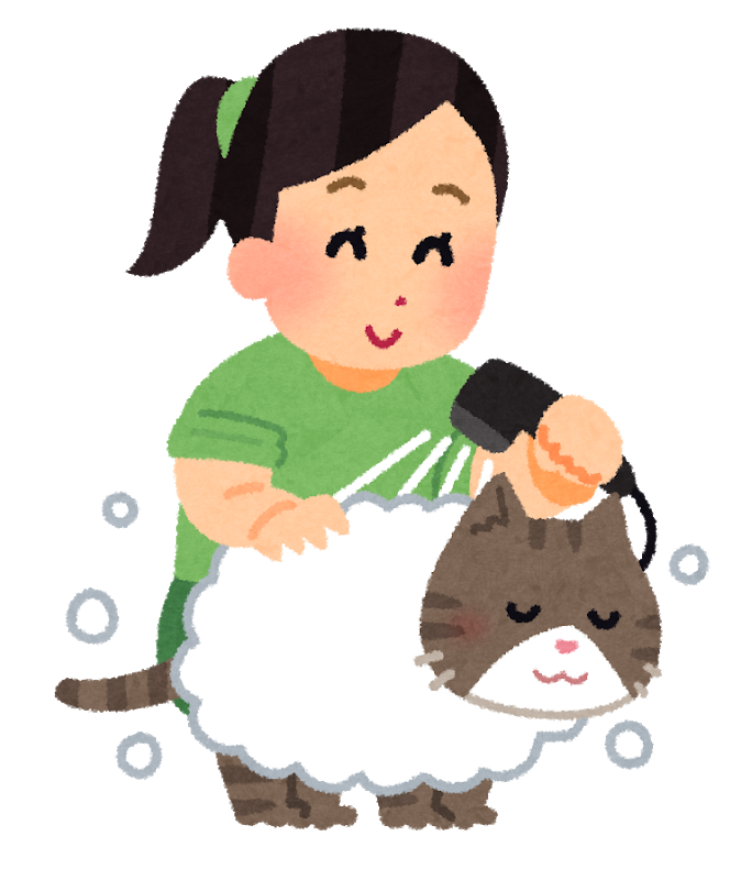 wash_pet_cat.png