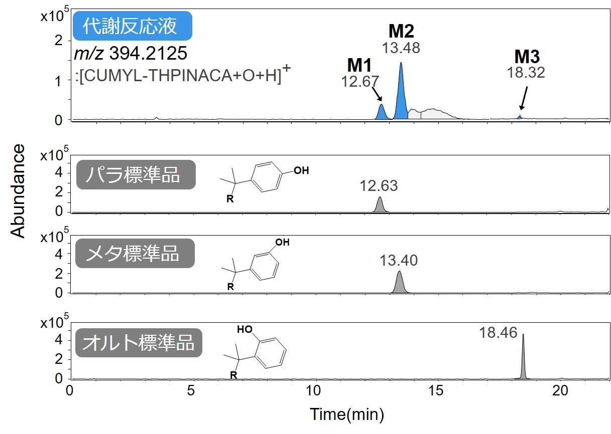 図3.代謝物と標準品の抽出イオンクロマトグラム（抽出m/z : 394.2125） （2023年10月27日追記。パラ標準品とオルト標準品の構造式が入れ替わっていたため修正しました）