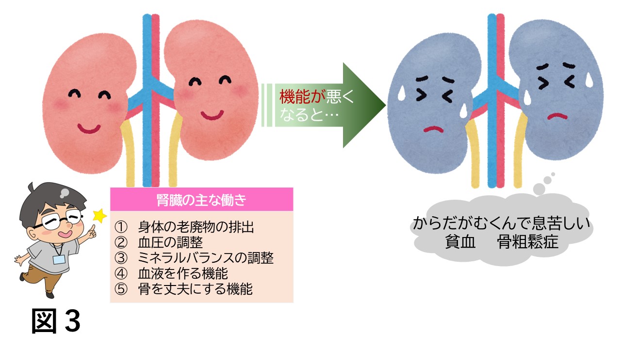 ncds8_図３腎臓