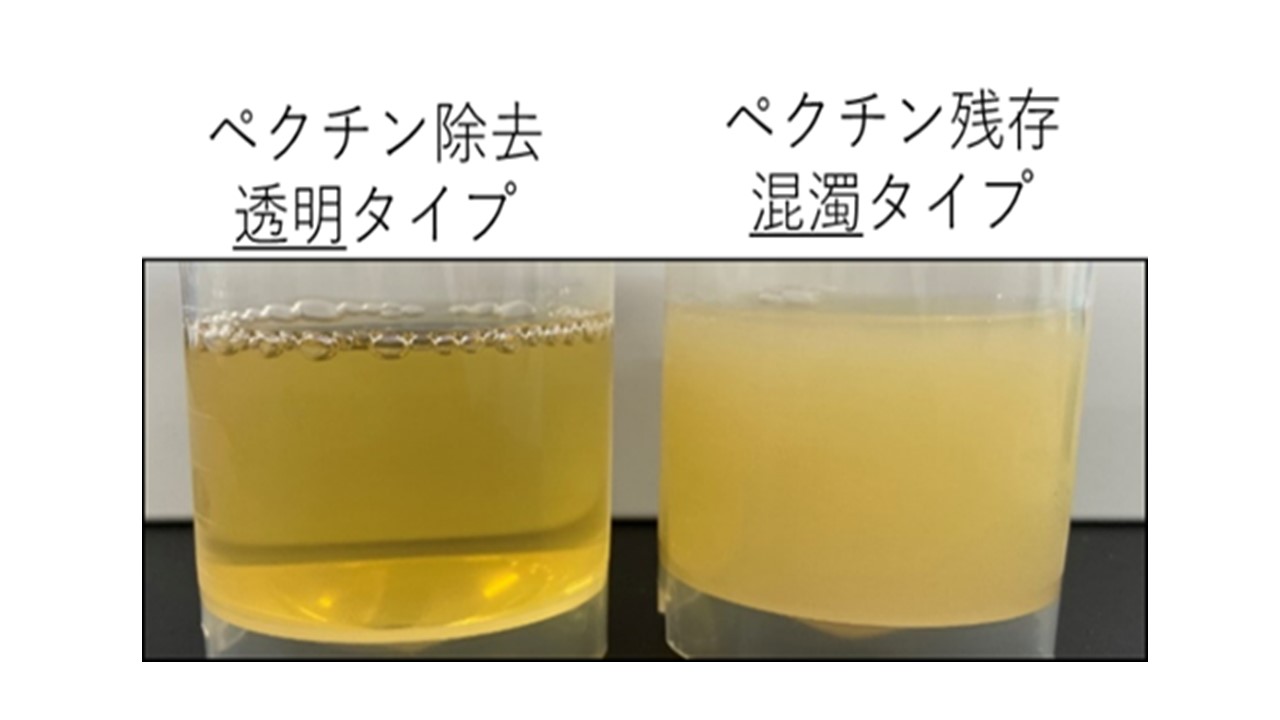 本研究で対象とした2種類のりんごジュース